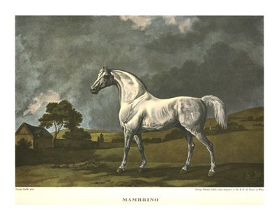 Mambrino, c1779, c1955. od Unbekannt
