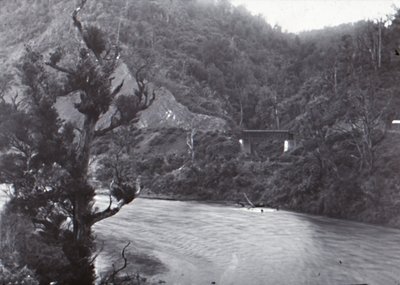 Manawatu Gorge, konec 19.-začátek 20. století. od Unbekannt