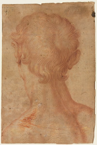 Mans Head zezadu, 16. století. od Unbekannt