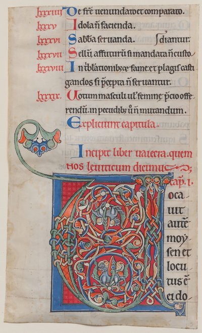 Iluminace rukopisu s iniciálou V, z Bible, ca. 1175-95. od Unbekannt