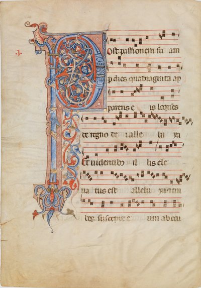 Rukopisný list s foliovanou iniciálou P, z antifonáře, ca. 1250-60. od Unbekannt