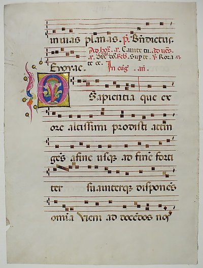 Rukopisný list s iniciálou O, z antifonáře, italština, 15. století. od Unbekannt