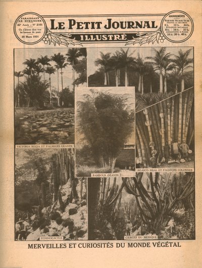 Zázraky a kuriozity světa rostlin, 1931. od Unbekannt