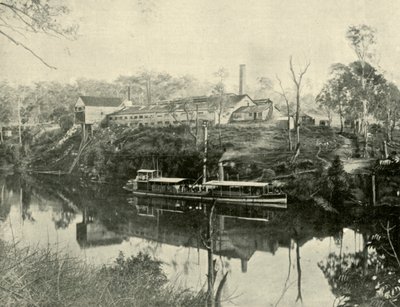 Meat Works, poblíž Grafton, New South Wales, 1901. od Unbekannt
