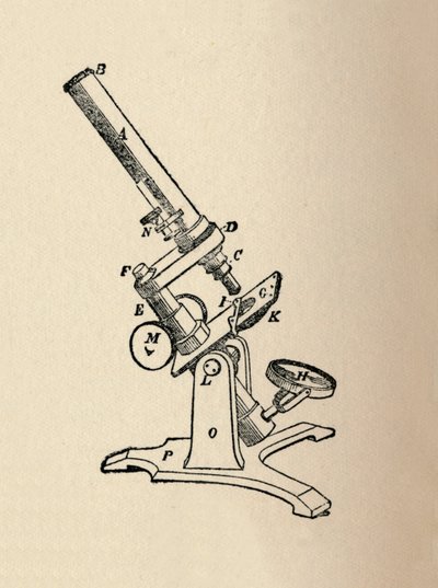 Mikroskop, 1912 od Unbekannt