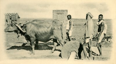 Míchací malta, . od Unbekannt