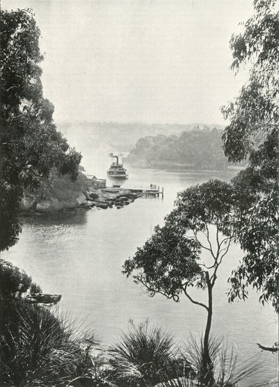Mosmans Bay, z Cremorne Jetty, c1900. od Unbekannt