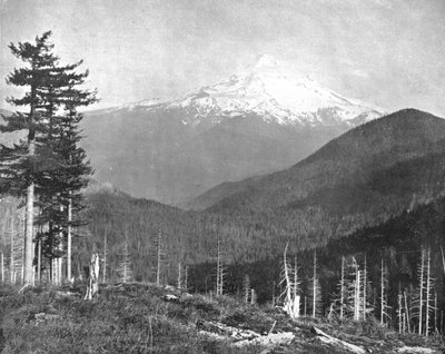 Mount Hood, Oregon, USA, c1900. od Unbekannt