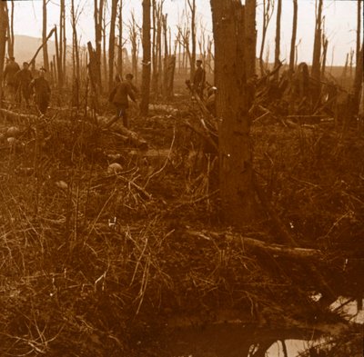 Mount Kemmel, Flandry, Belgie, c1914-c1918 od Unbekannt