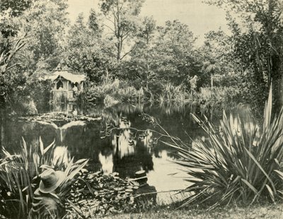Pan Ryans Gardens, Mount Macedon, Victoria, 1901. od Unbekannt
