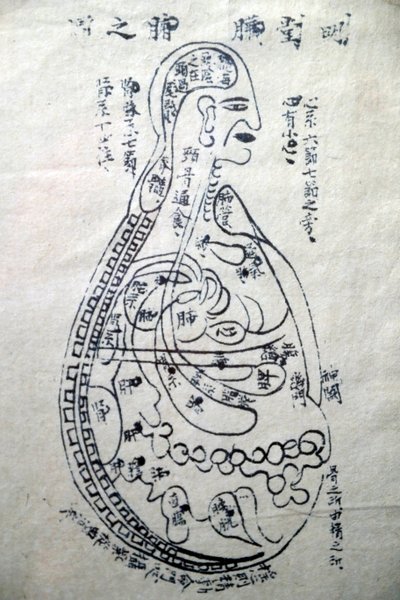 Muzeum tradiční vietnamské medicíny, kanály a nádoby, kniha akupunktury, Ho Či Minovo město, Vietnam od Unbekannt