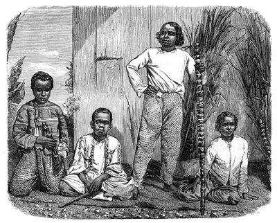 Domorodci z ostrova Réunion, c1890 od Unbekannt