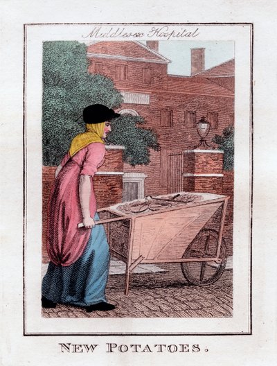 New Potatoes, Middlesex Hospital, Londýn, 1805 od Unbekannt
