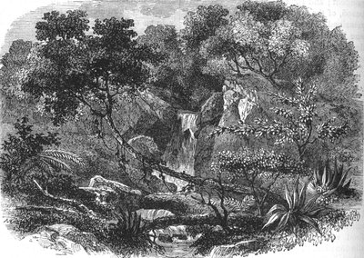 Krajina Nového Zélandu, c1880 od Unbekannt
