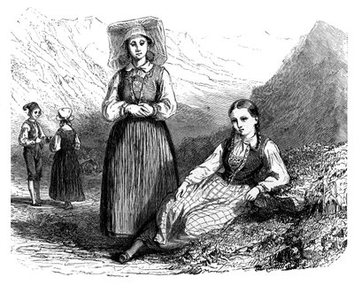 Norové z Lovardalsskard, c1890 od Unbekannt