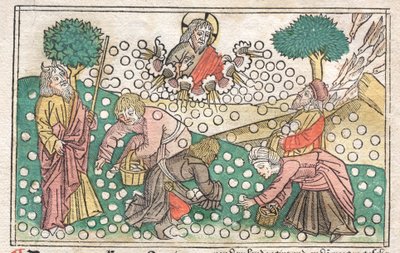 Norimberská Bible: Manna padající z nebe, 1400. od Unbekannt
