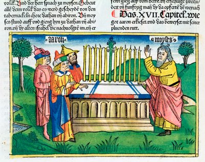 Numeri 17:1-11: Áronova hůl kvete na oltáři od Unbekannt