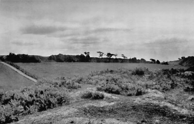 Offas Dyke překračující vrchol kopce, v Denbighshire, Wales, 1935 od Unbekannt
