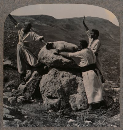 Obětování beránka na Altar, Moreh, c1900 od Unbekannt