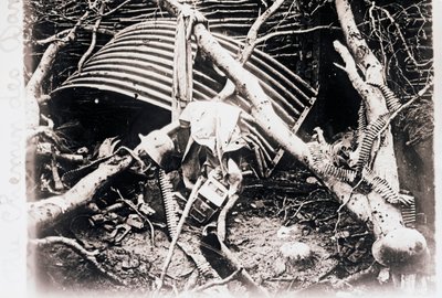 Na Chemin des Dames, severní Francie, c1914-c1918 od Unbekannt