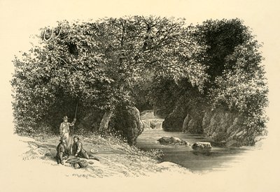 Na Dargle, c1890. od Unbekannt
