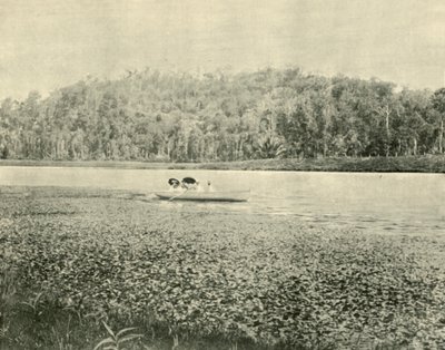 Na jezeře Enoggera, 1901. od Unbekannt