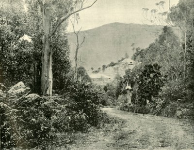 Na Illawarra Road, N.S.W., 1901. od Unbekannt