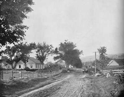 Na cestě k jezeru Echo, White Mountains, New Hampshire, c1897. od Unbekannt