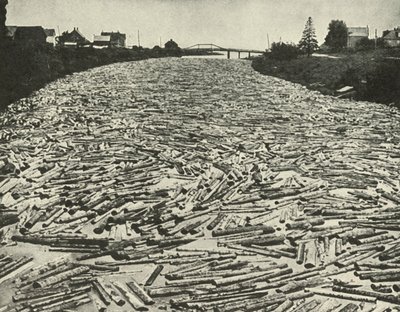 Na jejich cestě k pilám, c1948. od Unbekannt