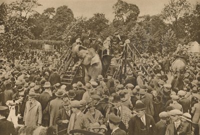 Jeden ze znaků naší civilizace: Dobře zásobené zoologické zahrady pro potěšení zvědavců, c193 od Unbekannt