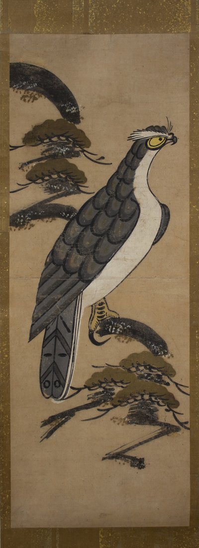 Otsu-e of Falcon on a Pine Tree, 18. století. od Unbekannt