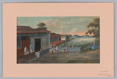 Balení čaje do truhel, 1890–1910 od Unbekannt