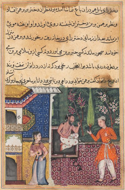 Stránka z Tales of a Parrot Tuti-nama: Třicátá pátá noc: Brahman dává..., c. 1560. od Unbekannt