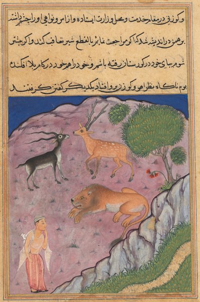 Stránka z Tales of a Parrot Tuti-nama: Dvacátá první noc: Brahman..., c. 1560. od Unbekannt