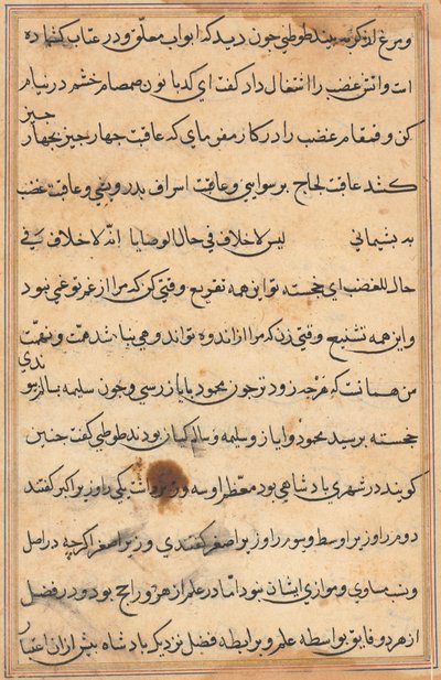 Stránka z Příběhů papouška Tuti-nama: textová stránka, c. 1560. od Unbekannt