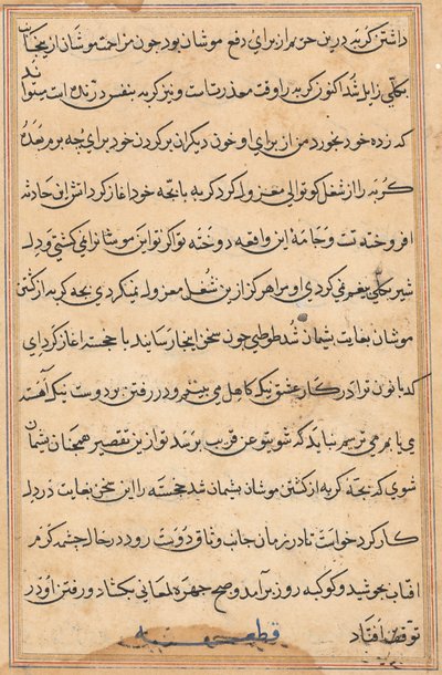 Stránka z Příběhů papouška Tuti-nama: textová stránka, c. 1560. od Unbekannt
