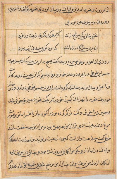 Stránka z Příběhů papouška Tuti-nama: textová stránka, c. 1560. od Unbekannt