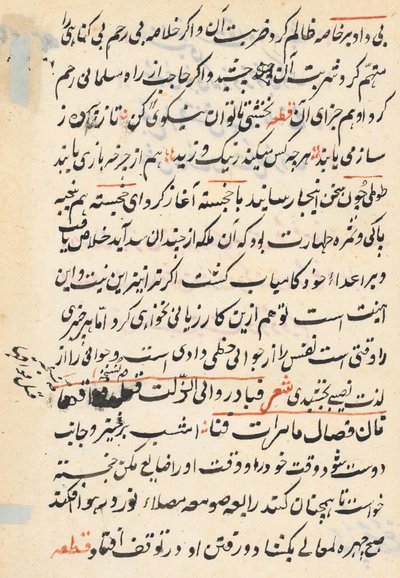 Stránka z Příběhů papouška Tuti-nama: textová stránka, c. 1560. od Unbekannt