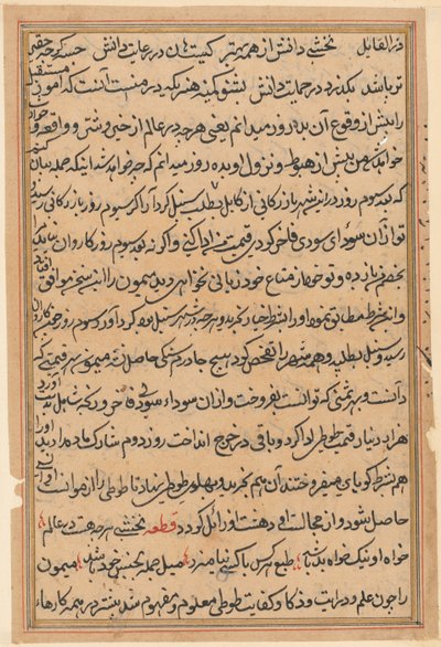 Stránka z Příběhů papouška Tuti-nama: textová stránka, c. 1560. od Unbekannt