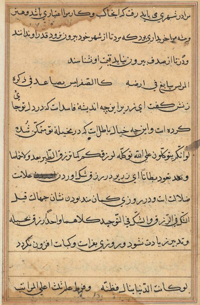 Stránka z Příběhů papouška Tuti-nama: textová stránka, c. 1560. od Unbekannt