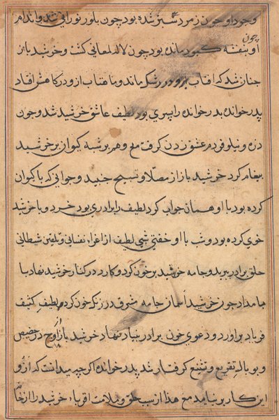 Stránka z Příběhů papouška Tuti-nama: textová stránka, c. 1560. od Unbekannt