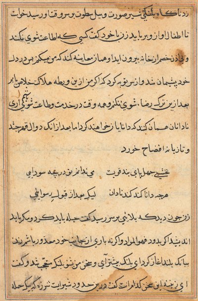 Stránka z Příběhů papouška Tuti-nama: textová stránka, c. 1560. od Unbekannt