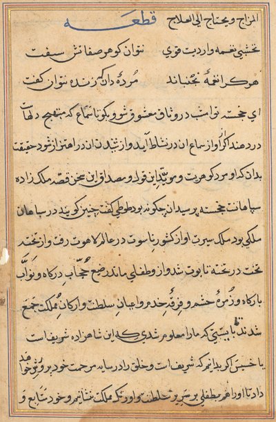Stránka z Příběhů papouška Tuti-nama: textová stránka, c. 1560. od Unbekannt