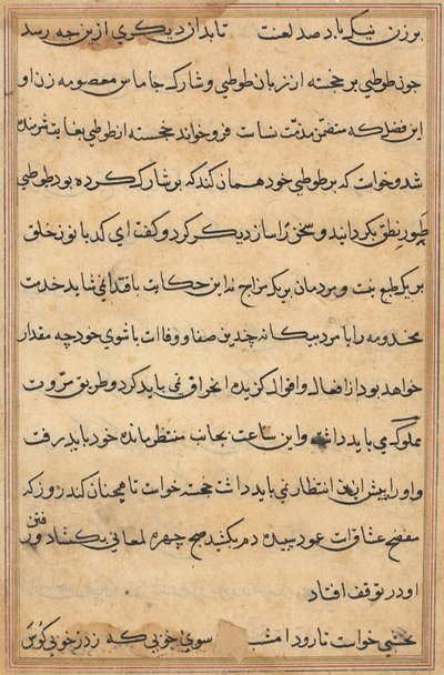 Stránka z Příběhů papouška Tuti-nama: textová stránka, c. 1560. od Unbekannt