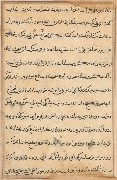 Stránka z Příběhů papouška Tuti-nama: textová stránka, c. 1560. od Unbekannt