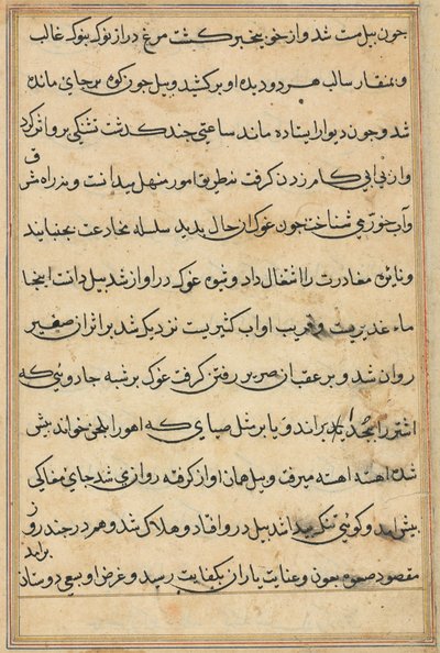 Stránka z Příběhů papouška Tuti-nama: textová stránka, c. 1560. od Unbekannt
