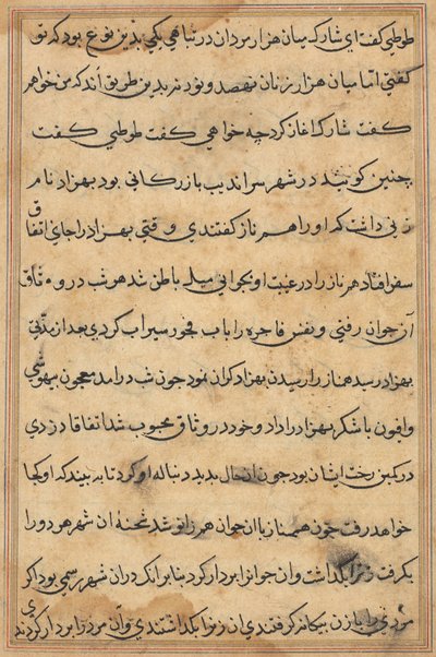 Stránka z Příběhů papouška Tuti-nama: textová stránka, c. 1560. od Unbekannt