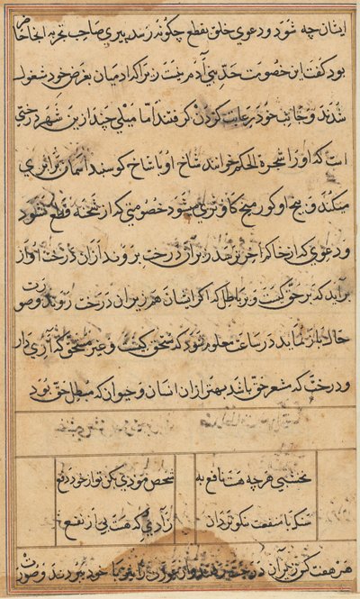 Stránka z Příběhů papouška Tuti-nama: textová stránka, c. 1560. od Unbekannt