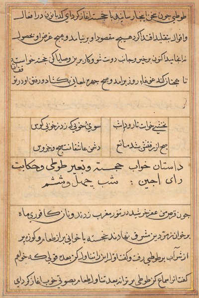 Stránka z Příběhů papouška Tuti-nama: textová stránka, c. 1560. od Unbekannt
