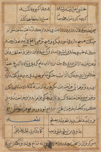 Stránka z Příběhů papouška Tuti-nama: textová stránka, c. 1560. od Unbekannt